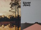 Silver Jews 2 x LP STARLITE WALKER   American Water Vinyl WOW