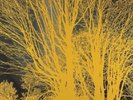 NADA SURF - THE STARS ARE INDIFFERENT... VINYL LP NEW+