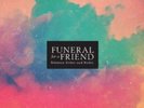 FUNERAL FOR A FRIEND - BETWEEN ORDER AND MODEL [ORANGE VIN  VINYL LP NEW+