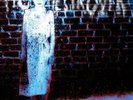 PIG DESTROYER - BOOK BURNER  VINYL LP NEW+