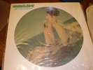 Parliament PICTURE DISC Motor Booty Affair