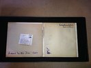 Babyshambles - Down In Albion Vinyl 2 LP (12-Inch)