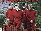 Bobby Fuller - I Fought the Law: The Best of - Rock & Roll