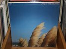Jimmy Eat World Static Prevails NEW SEALED lp ORIGINAL 90s w/ 7 inch punk