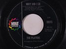 PLAYERS: Why Did I Lie / I'm Glad You Waited 45 (Great northern sound) Soul