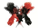 KINGS OF LEON ONLY BY THE NIGHT 180GM LP VINYL BRAND NEW