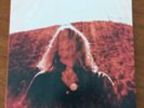 SEGALL, Ty - Manipulator - gatefold 2xLP Cherry Red vinyl NM