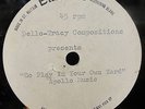 PETE DELLO GRANT TRACY GO PLAY IN YOUR OWN YARD RARE EMIDISC ACETATE DEMO 10