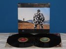 Pink Floyd DELICATE SOUND OF THUNDER 2 LP Vinile *EX/EX+/EX* RaRo
