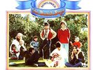 The Beach Boys - Sunflower