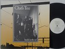 CHADS TREE Buckle In The Rail RARE Powerpop LP NM Go Betweens (CHAD'S) AUSTRALIA