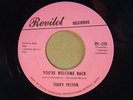 Terry Felton 45 YOU'RE WELCOME BACK / DON'T WANT TO WAIT   VG++  fem. dance soul