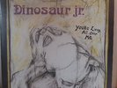 Dinosaur Jr., youre living all over me, rot marmoriertes Vinyl , VG