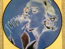Madonna Erotica 12 Inch Picture Disc Vinyl LP Rare And Hard To Find