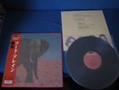 Food Brain Social Gathering Japan Vinyl LP Reissue Shinki Chen Hiro Yanagida