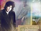 THE WATERBOYS An Appointment With Mr. Yeats Limited 45 rpm 180gram Vinyl 2LP Set