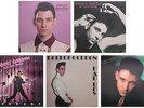 Robert Gordon 5 Album Bonanza In Great Vinyl Condition