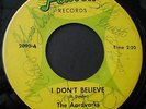 45RPM GARAGE BAND  THE AARDVARKS FENTON 2090