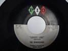 R&B teen group vocal doowop 45 The Runarounds Lover's Lane on PIO