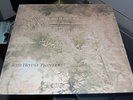 RED HOUSE PAINTERS - BRIDGE VINYL LP