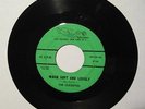 RARE GIRL GROUP 45 THE CLICKETTES  WARM SOFT AND LOVELY / WHY OH WHY  DICE 94/95