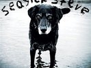 SEASICK STEVE You Can't Teach An Old Dog LP [SEALED VINYL] John Paul Jones BLUES