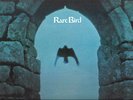 MINT UK ORIGINAL GF 1ST PRESS Rare Bird 