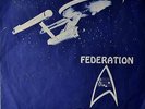 Federation Earth Band Star Trek Theme 45 & Picture Sleeve PS 1970 TV Show Vulcan