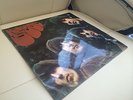 THE BEATLES RUBBER SOUL ** MISPRINTED SLEEVE** 1965 MONO LOUD CUT -1 -1