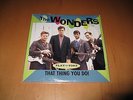 THE WONDERS That Thing You Do 7