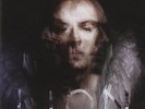 PETER MURPHY Lion 2014 Double Vinyl LP + 2 Bonus Tracks NEW & SEALED