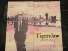 Tigers Jaw Spirit Desire 7