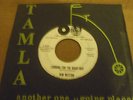 Kim Weston -Looking For The Right Guy(US 1 Sided Tamla Demo)