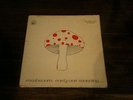 Mushroom Early One Morning Rare Irish Psych Folk LP