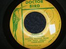 THE VIBRATORS - JOHB B  (R/Steady)  45