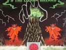 KING GIZZARD & THE LIZARD WIZARD - I'm In Your Mind Fuzz - LP