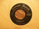 THE BLUE JEANS Moon Mist/D.J. Theme SOUVENIR 1007 Exotica Lounge Garage 45 - NM