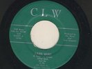Garage & SURF Instro 45 Little Ellis & L 7's Barb Wire. DENVER RITE Press 1965