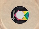 Northern Soul 45 THE CHI-LITES Are You My Woman? BRUNSWICK - HEAR