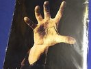 SYSTEM OF A DOWN LP re-release debut album (1998)