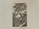 MY LAST ONE ANGRY ANGLES ?| CROWDS | FIGHTING ANGLE EDITION | JAY REATARD | 7