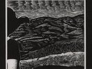 Angel Olsen - Halfway Home Vinyl US LP
