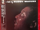 Muddy Waters