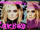 ANDY WARHOL 12” ART COVER DEBBIE HARRY pink version