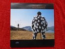 Pink Floyd Delicate Sound of Thunder Live double vinyl LP NM