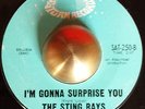 Rare 45 THE STING RAYS on SATURN 