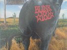 BLINK 182 DUDE RANCH VINYL LP SEALED NEW CLEAR BROWN ORANGE SPLATTER