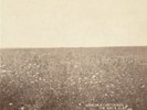 Milk Carton Kids - Ash & Clay (2013, Vinyl NEW)