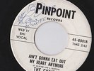 The Chains Ain't Gonna Eat Out My Heart PINPOINT EL PASO TX GARAGE 45 mp3 signed