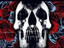 Deftones 0093624835011, Vinyl Album, BRAND NEW